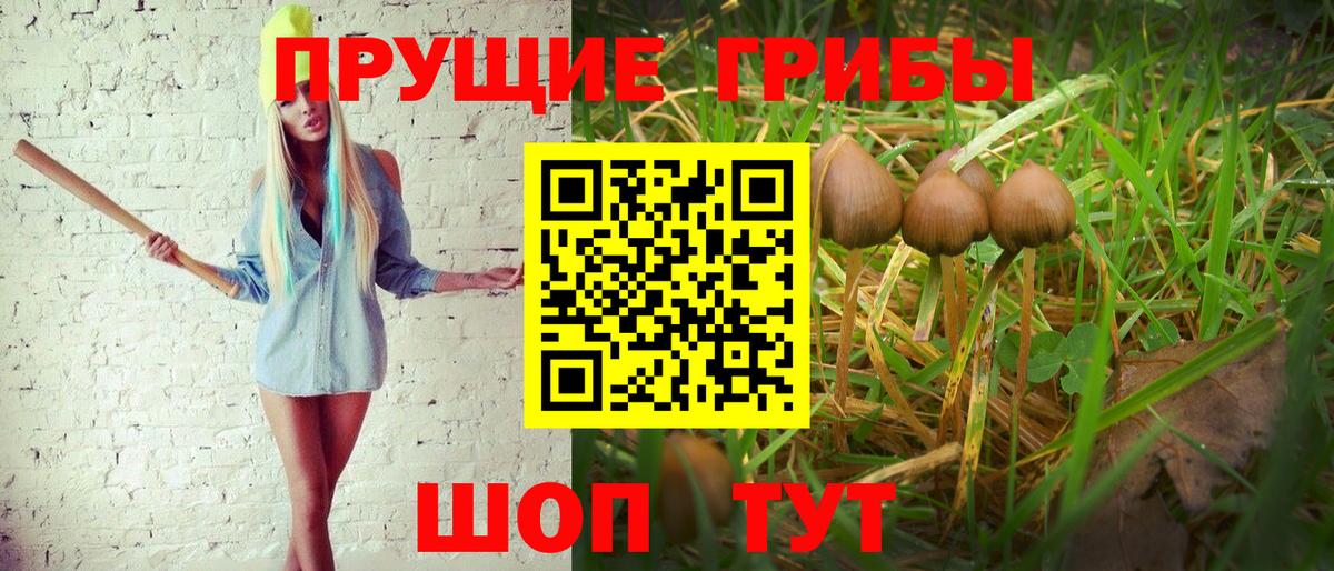 Псилоцибиновые грибы MAGIC MUSHROOMS Богородск