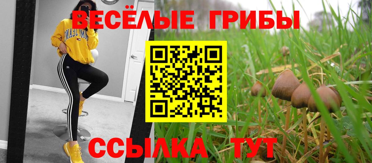 Псилоцибиновые грибы GOLDEN TEACHER  Вход с VPN  Богородск 